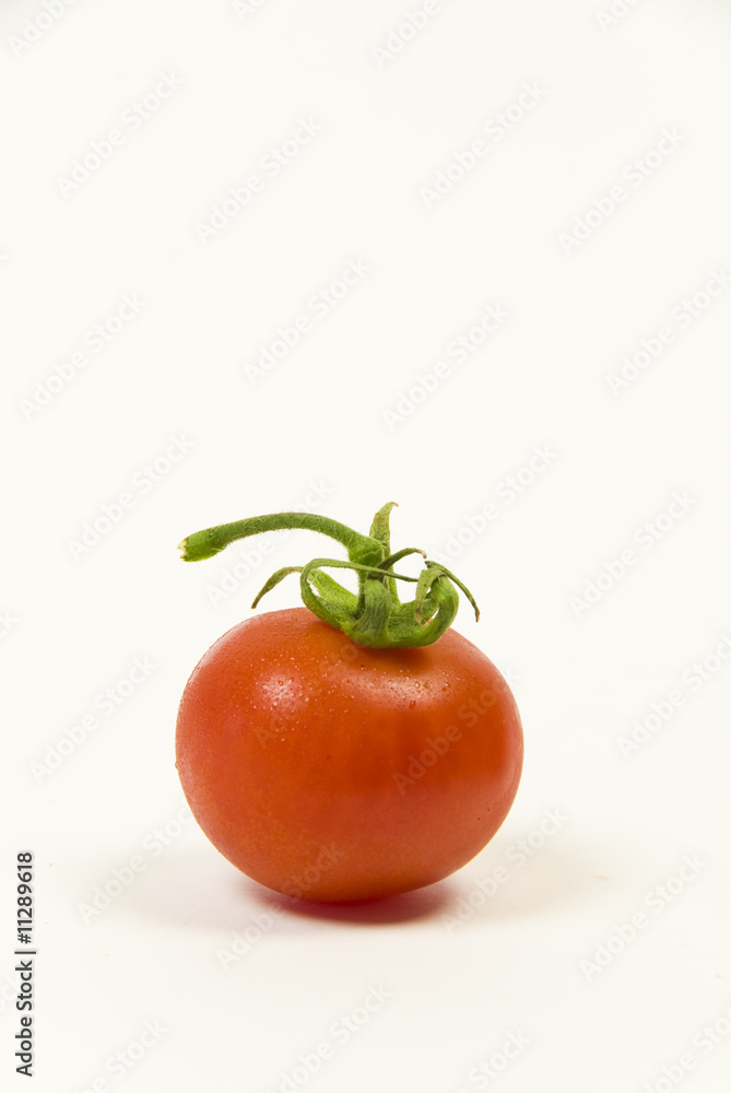 fresh organic vine tomato on a white background