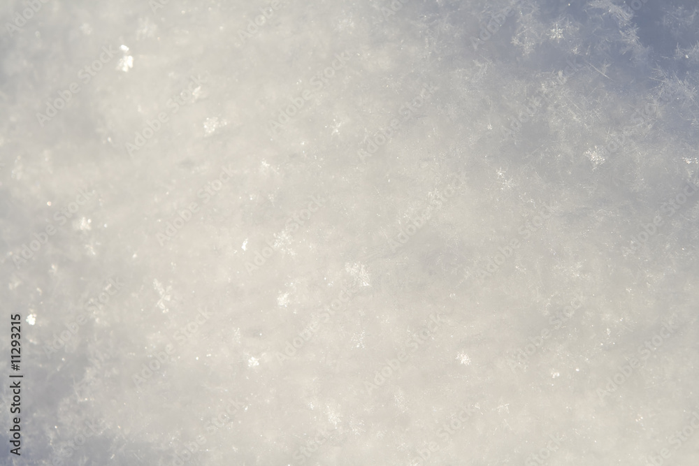 Obraz premium Snow