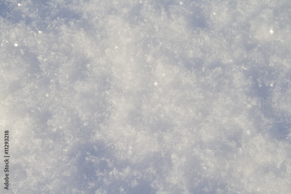 Fototapeta premium Snow