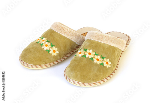 Pair house slippers isolated