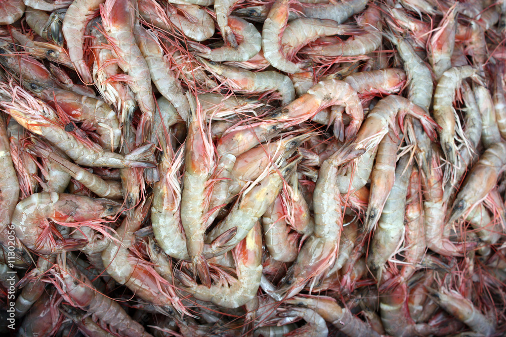 Prawns Background Prawns Background
