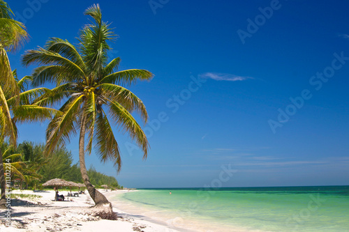 Tropical Beach photo
