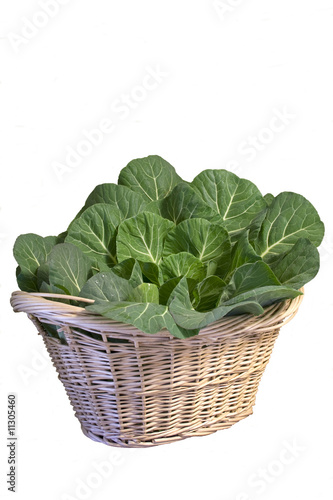 Basket of Collard Greens