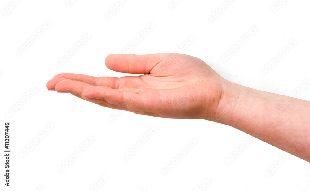 Girl's hand isolated on white background Girl's hand isolated on white background