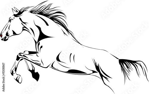 jumping horse vector illustration