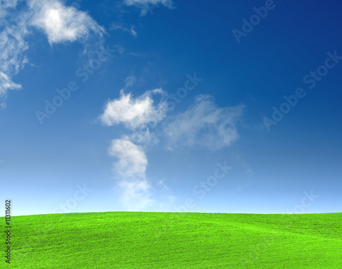 Green field on blue sky