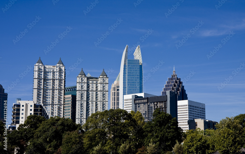 City Skyline Past Trees