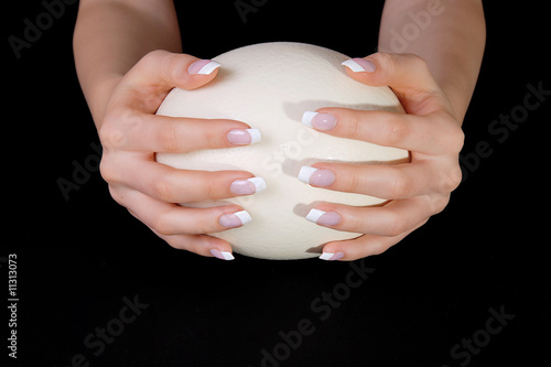 Hands with french manicure holding ostrich egg