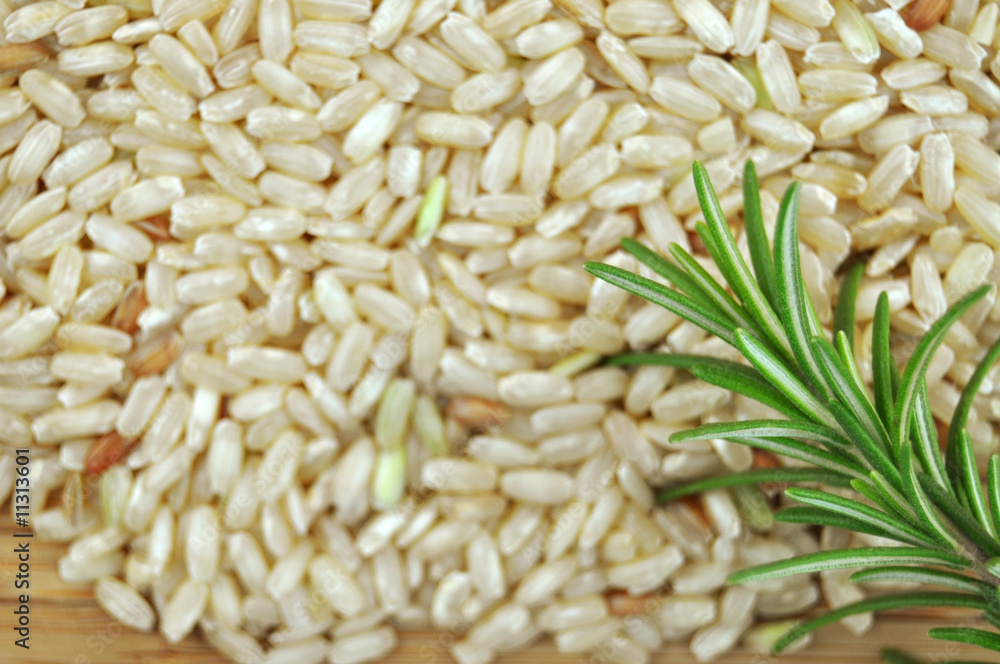 Obraz premium Rice with Rosemary