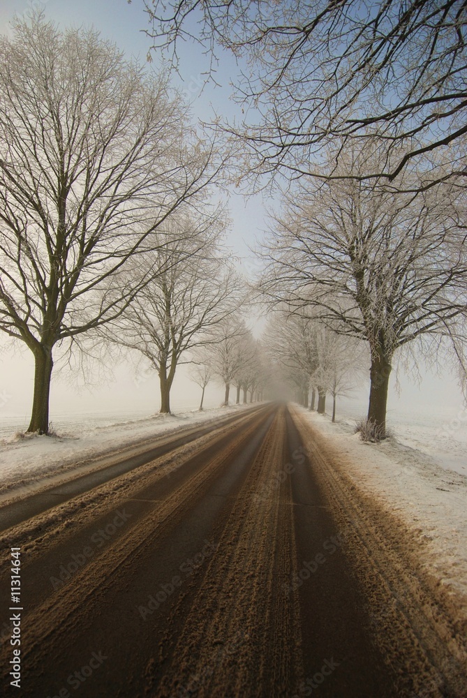 route en hiver