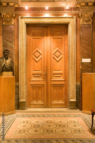 elegant wood door in the castle