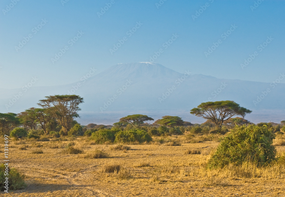 Naklejka premium kilimanjaro góra przy wschodem słońca