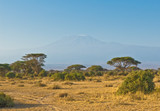 kilimanjaro mountain at the sunrise
