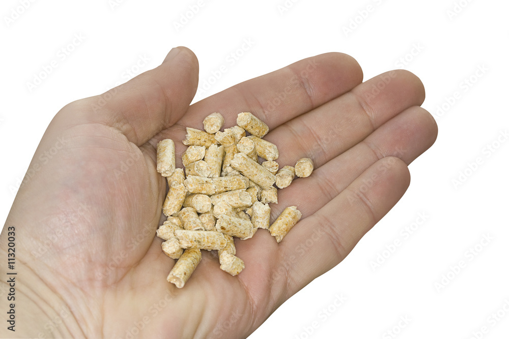 Fototapeta premium Pellets-Hand