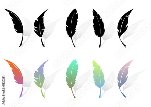 Different feather silhouettes and colored feathers over white