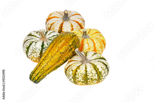 variety of sqush or gourds photo