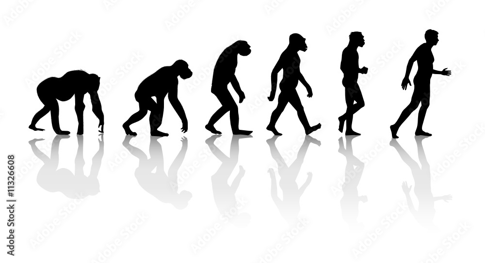 Darwin - Théorie de l'évolution singe homme Stock Vector | Adobe Stock