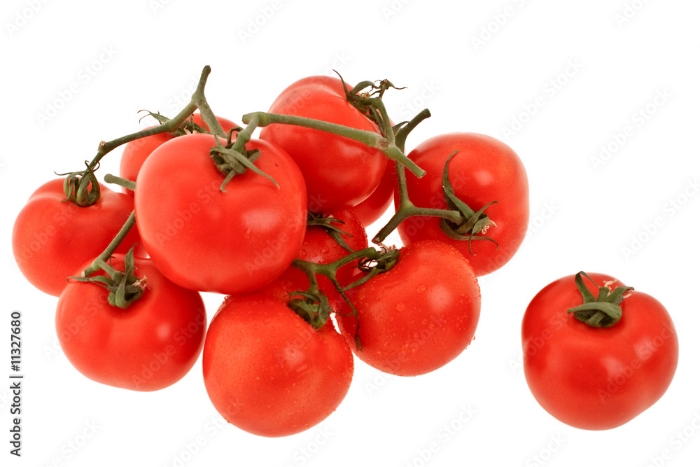 Branch of tomatoes Branch of tomatoes