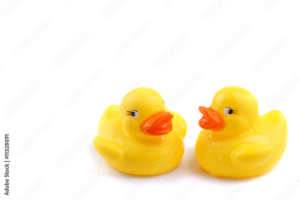 Wet Ducks Wet Ducks