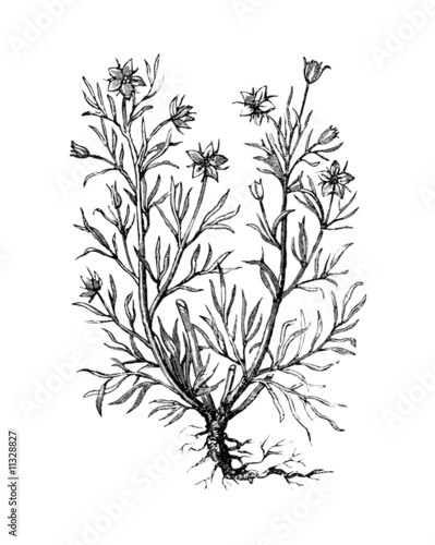 Wallpaper Mural Veget102 Torontodigital.ca