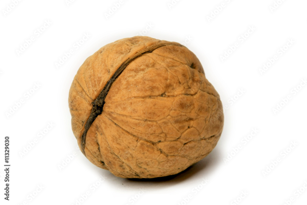 Walnut Walnut