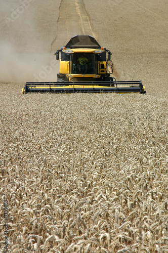 Konstfotografi harvester