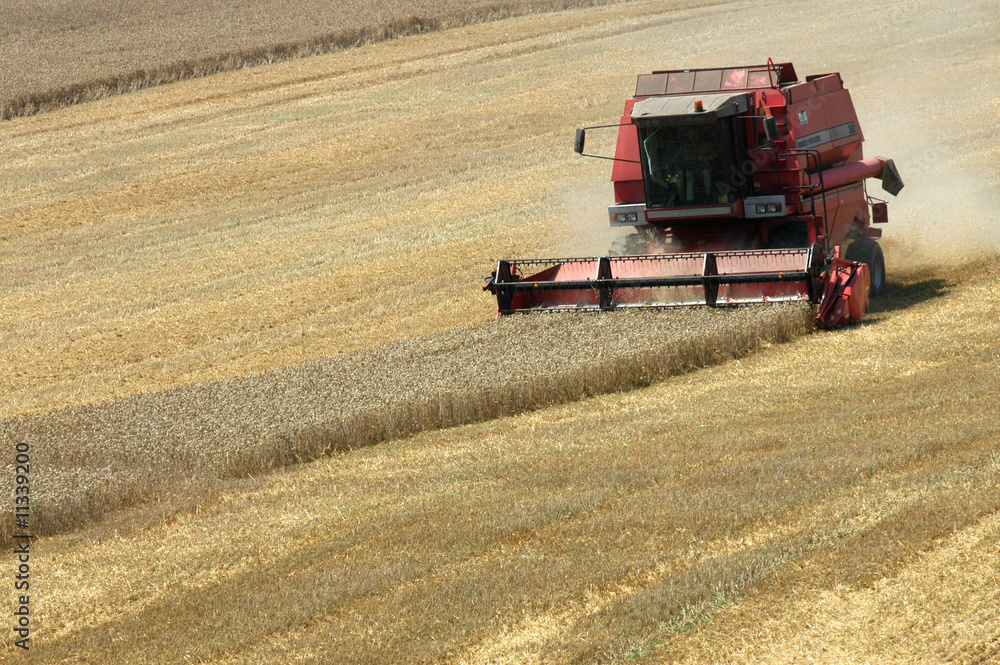 Fototapeta premium harvester