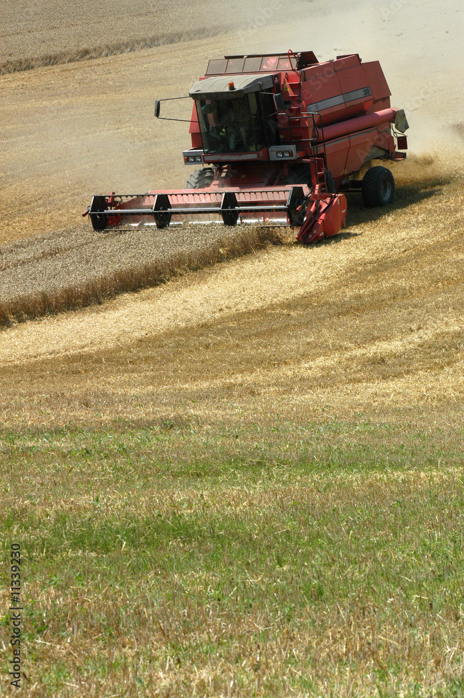 Fototapeta premium harvester