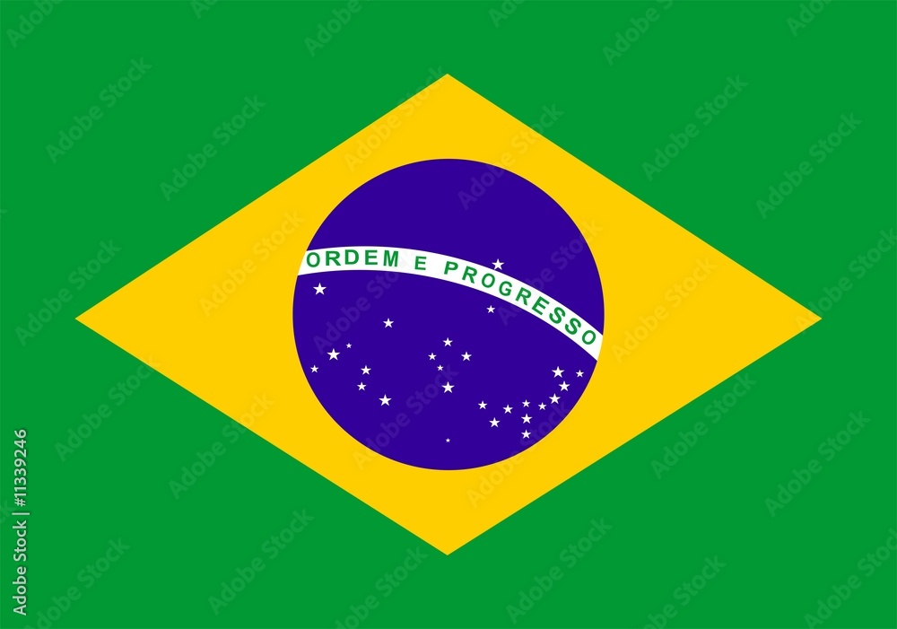Obraz premium Brazil Flag