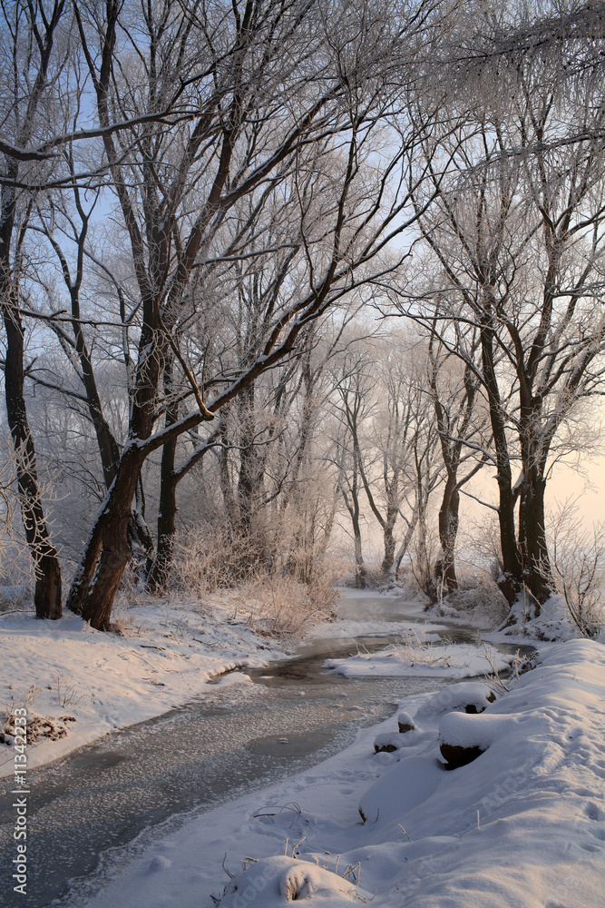 Winter scenery, frozen trees , meandering river Winter scenery, frozen trees , meandering river