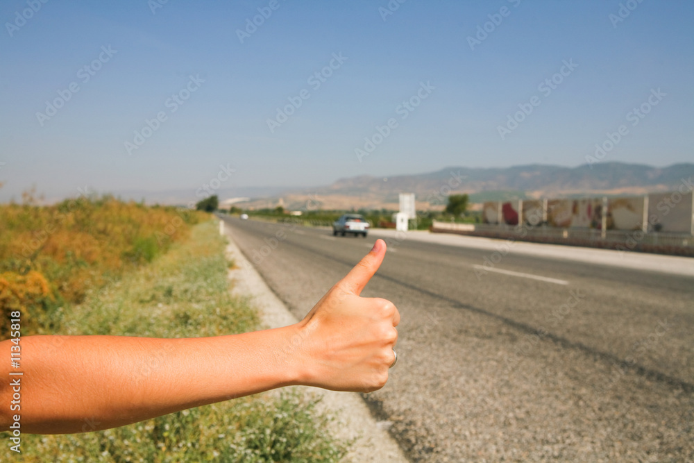 hitchhiking the road