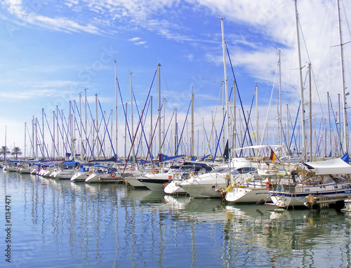 Harbor with yachts in israel