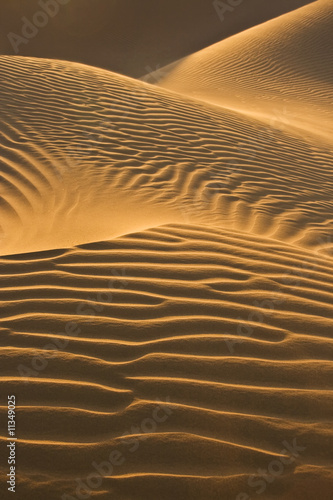 desert dunes in evening sun