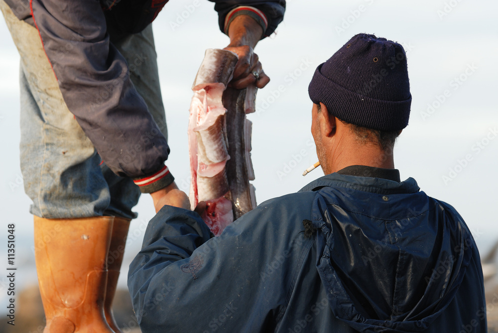 retour de pêche retour de pêche