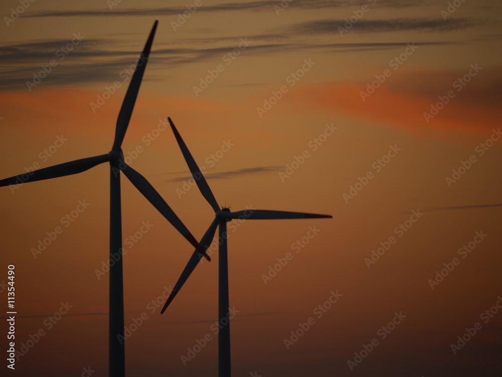 Fototapeta premium Windräder
