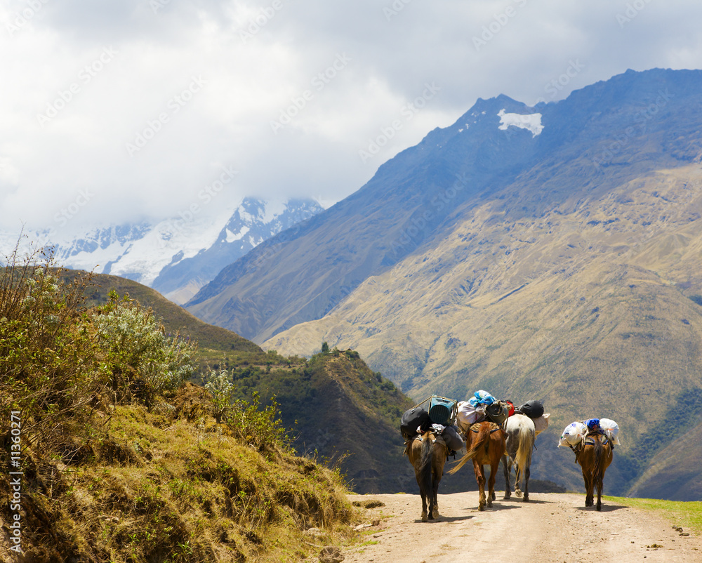 On the road in Andes