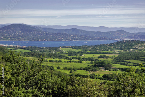 Vignoble vu de Gassin dans le var