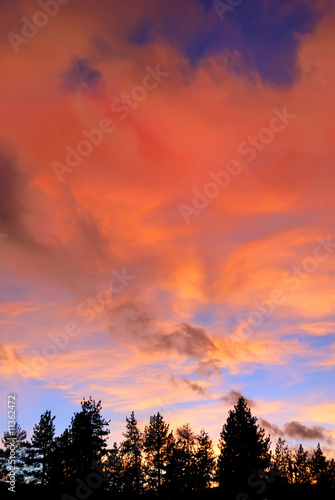 Red Clouds at Sunset Above Trees on the Lake Tahoe California