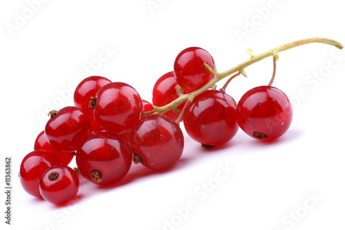 Red currant on a white surfce photo