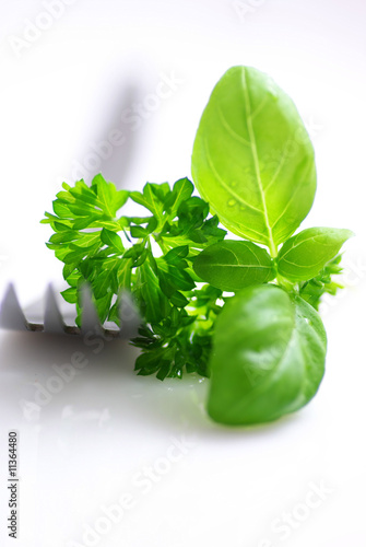 Fresh basil and parsley photo