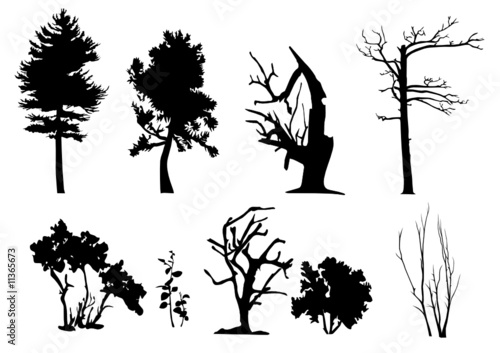 Tree vector silhouettes