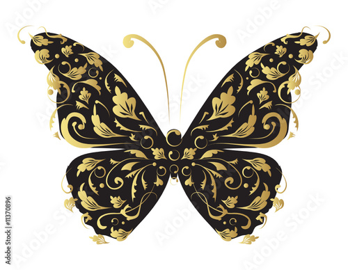 Butterfly, ornate for your design