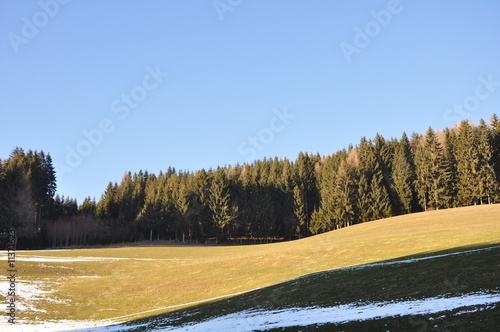 Wiese auf der Saualm photo