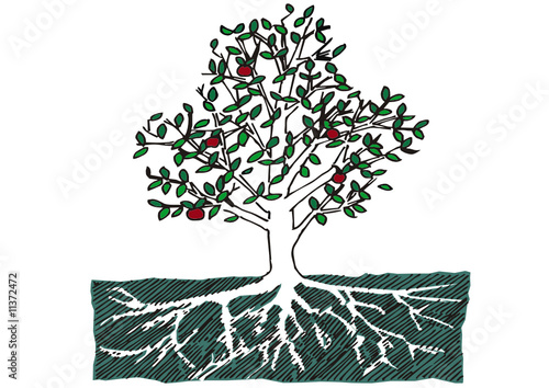 Tree with Roots and Apples