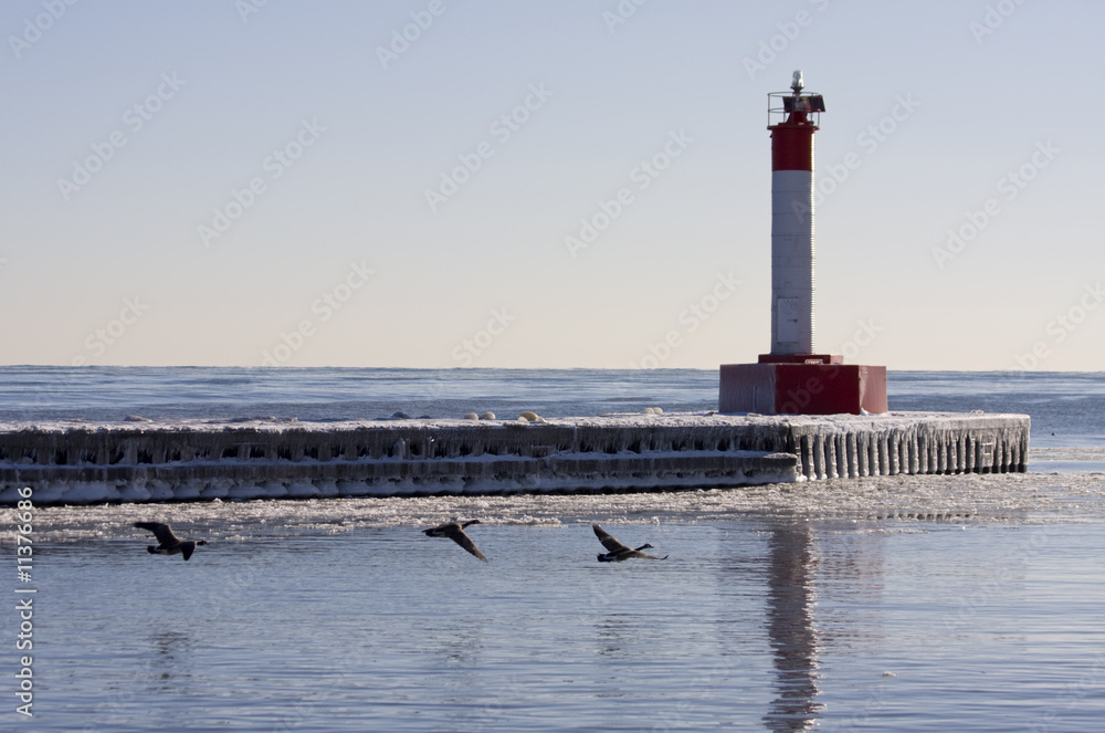 Lighthouse in winter with Canada Geese