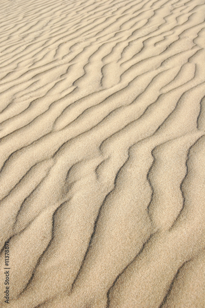 Desert adventure background Desert adventure background