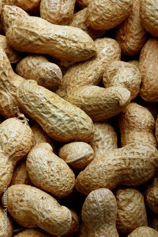Peanuts Peanuts