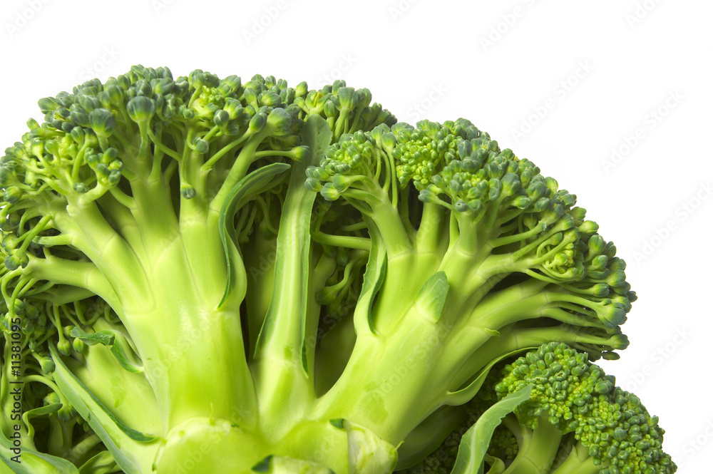 broccoli broccoli