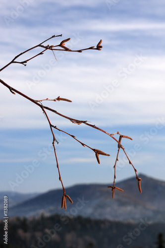 Mountain landscape. photo