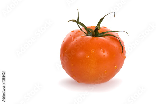 Wallpaper Mural Red Tomato Torontodigital.ca